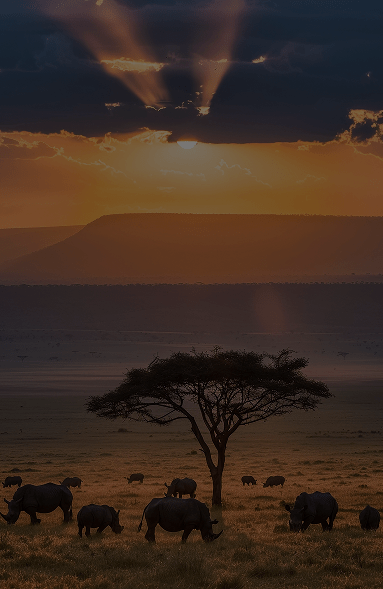 10 nights Premier Zimbabwe